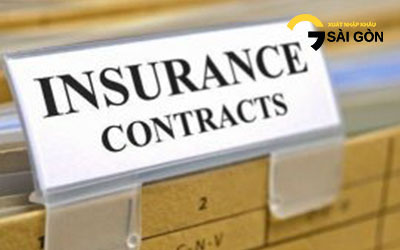 Types of Insurance Contract