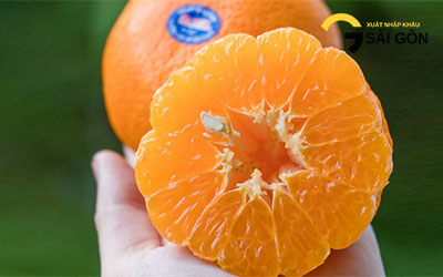 Oranges and mandarins of Australia Pouring to Vietnam