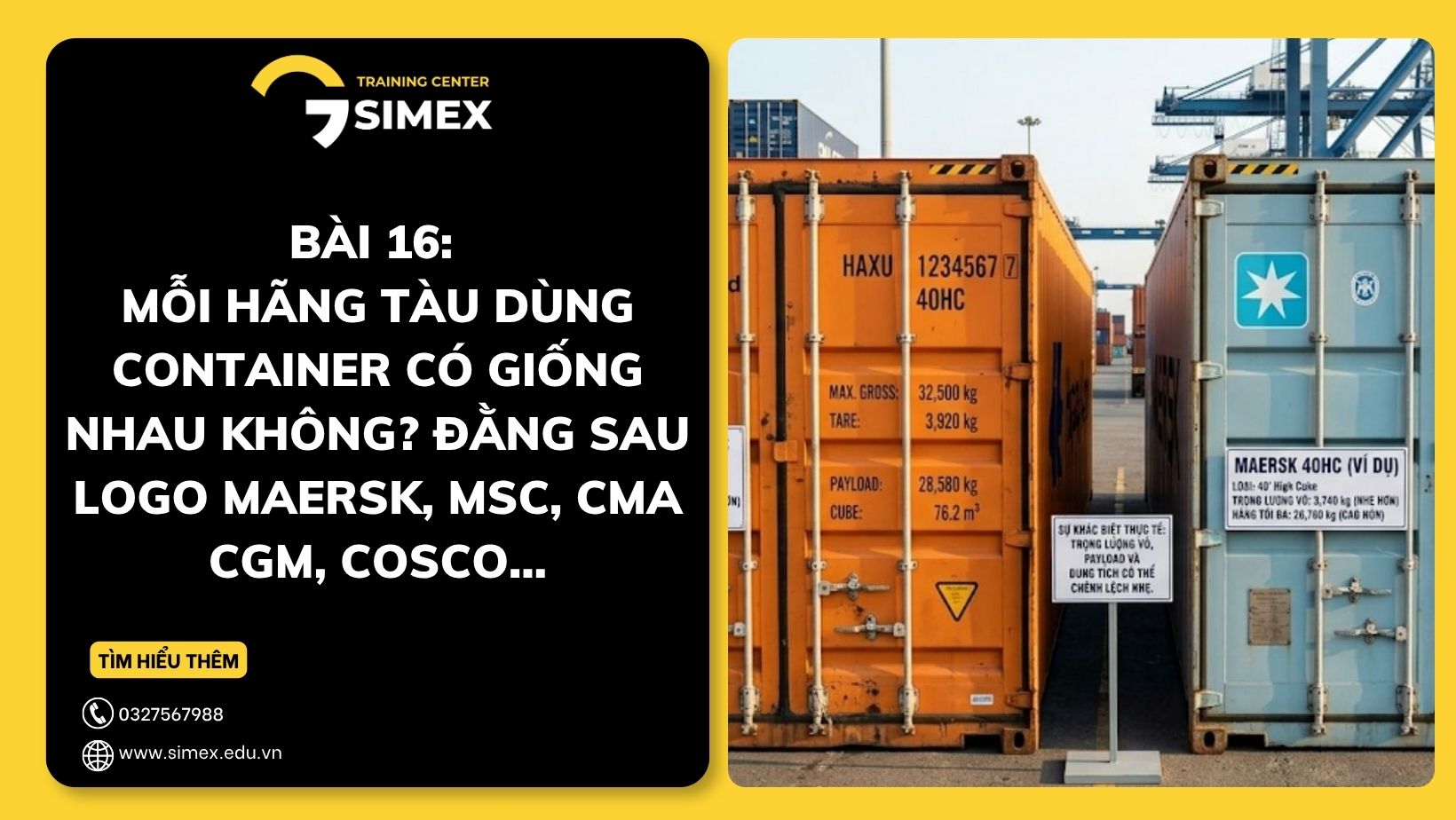 MỖI HÃNG TÀU DÙNG CONTAINER CÓ GIỐNG NHAU KHÔNG? ĐẰNG SAU LOGO MAERSK, MSC, CMA CGM, COSCO…