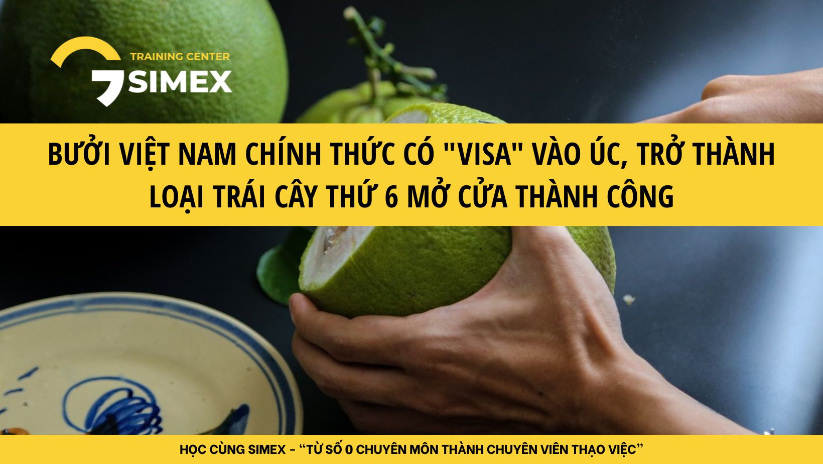 Bưởi Việt Nam Chính Thức Có 