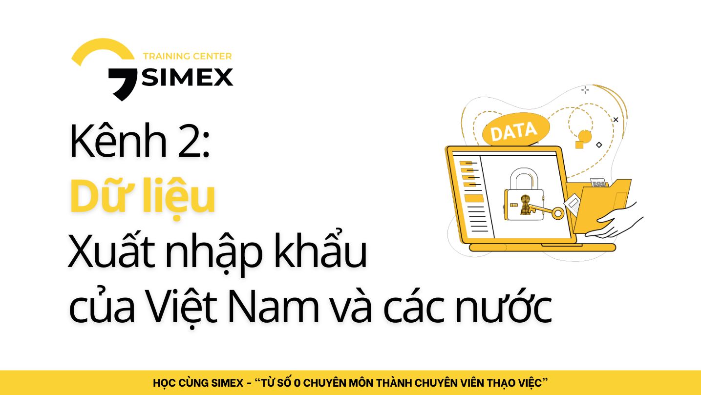 Kênh 2: Dữ Liệu Xuất Nhập Khẩu – “Mắt Thần” Của Doanh Nghiệp Xuất Khẩu