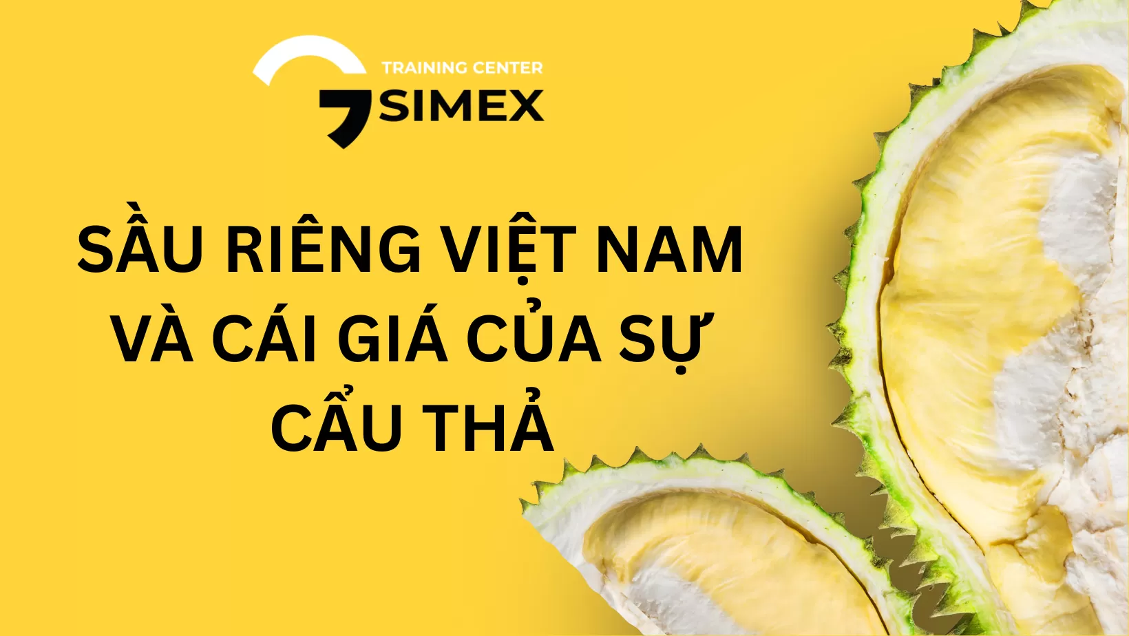 Sầu riêng Việt Nam và cái giá của sự cẩu thả