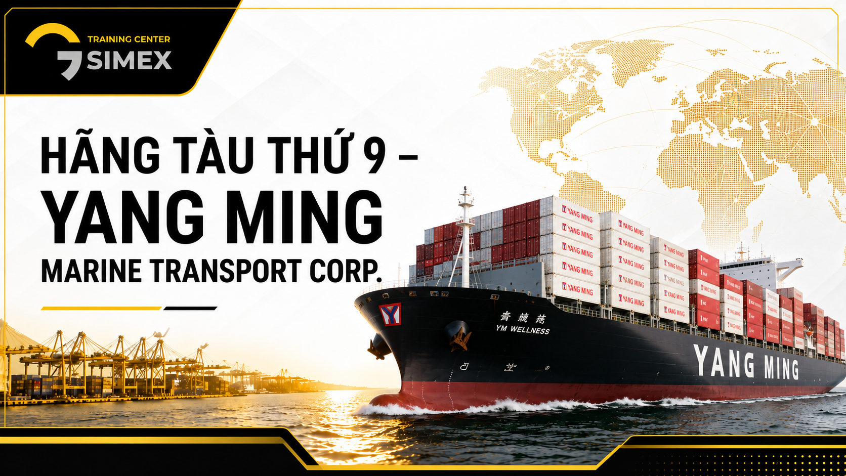 9. HÃNG TÀU THỨ 9 - YANG MING MARINE TRANSPORT CORP.