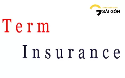 Các Điều Kiện Bảo Hiểm Loại Trừ