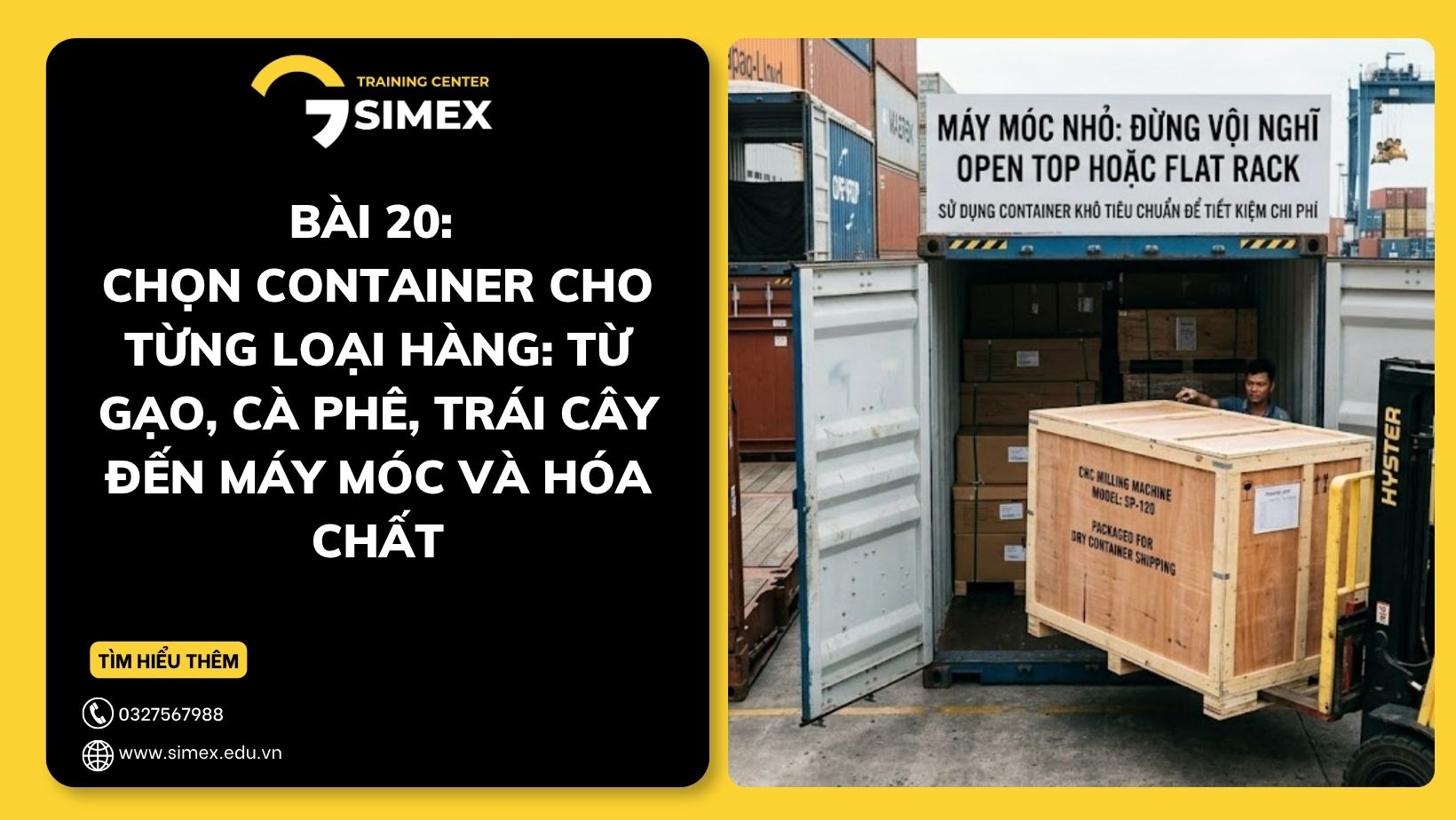CHỌN CONTAINER CHO TỪNG LOẠI HÀNG: TỪ GẠO, CÀ PHÊ, TRÁI CÂY ĐẾN MÁY MÓC VÀ HÓA CHẤT
