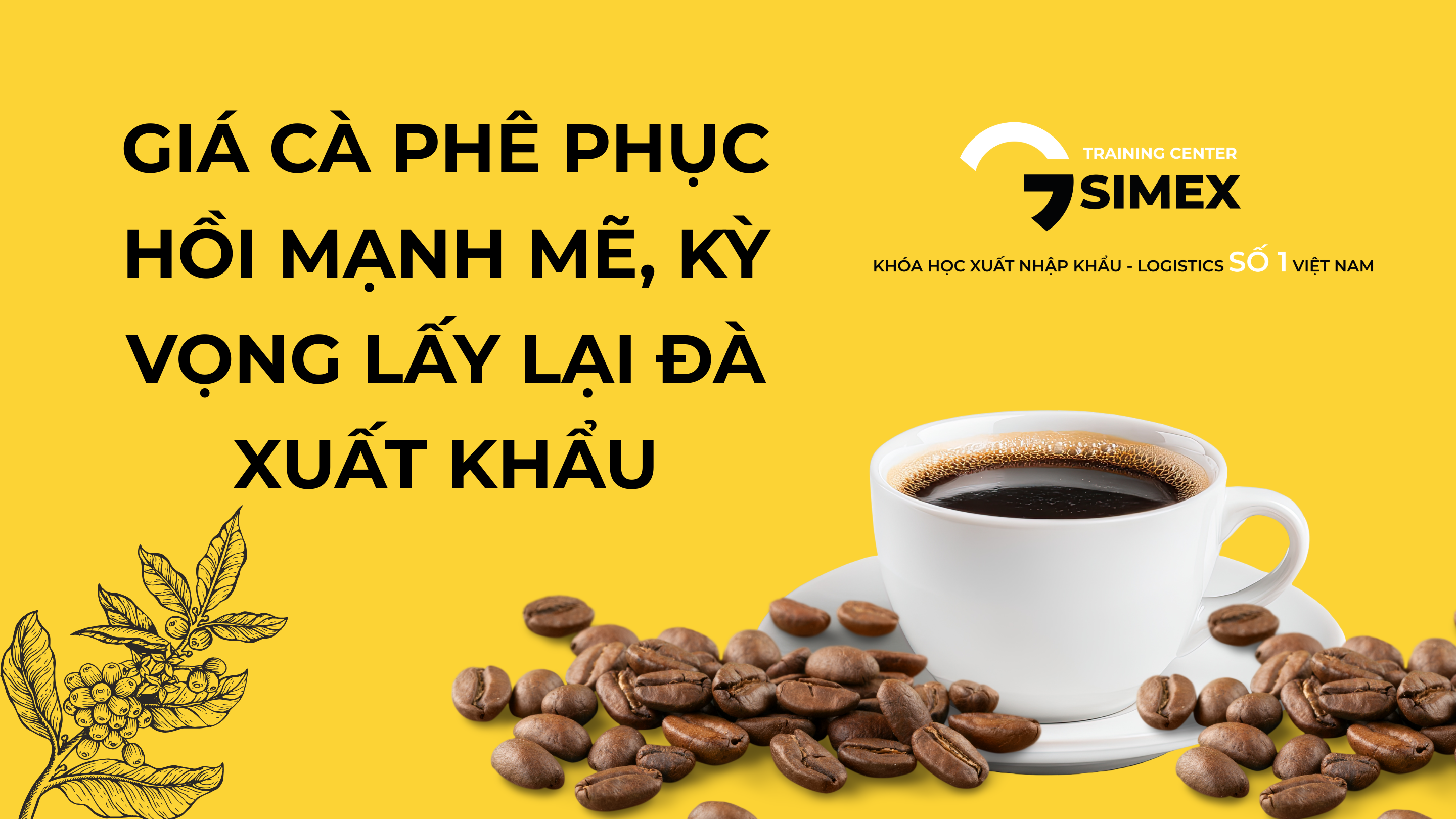 Giá Cà Phê Phục Hồi Mạnh Mẽ: Xuất Khẩu Kỳ Vọng Lấy Lại Đà Tăng Trưởng