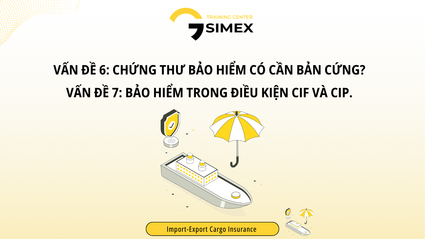 Nghiệp Vụ Mua Bảo Hiểm Lô Hàng Xuất Khẩu: Chứng Thư Bảo Hiểm & Phân Biệt CIF, CIP