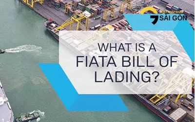 Nhầm Lẫn Giữa House B/L và FIATA B/L (F.B/L)