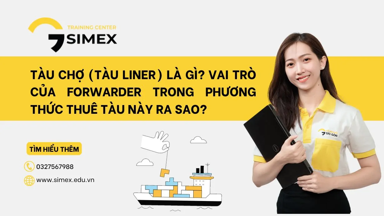 Tàu Chợ (Tàu Liner) Là Gì?